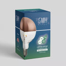 Lampada Led Vintage Filamento 6w G95 Espelhada Globo Ballon Bivolt Rosê