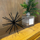 Escultura Ouriço Do Mar 13x13cm Decoração